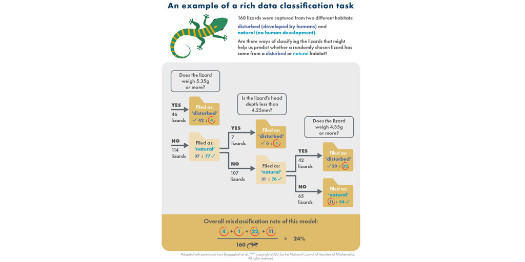 An infographic showing an example of a rich data set classification task