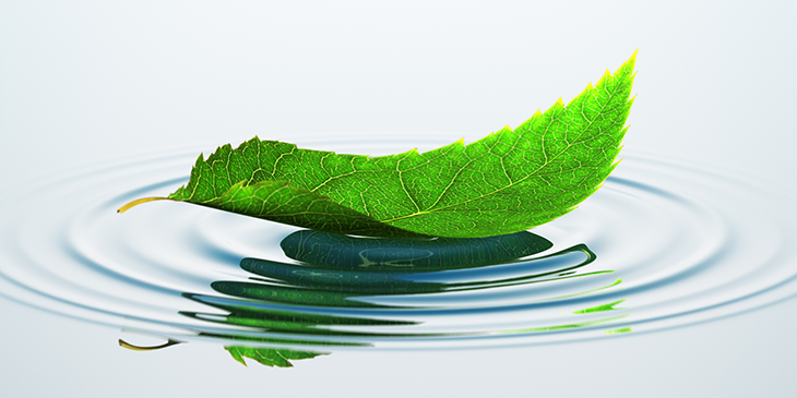 A curled leaf floating on rippled water