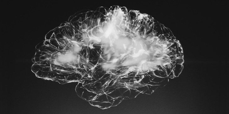 Black and white rendered scan of a human brain