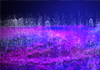 A visualisation of disturbed water with numerous drops spiking in the air, colourised with blues and purples