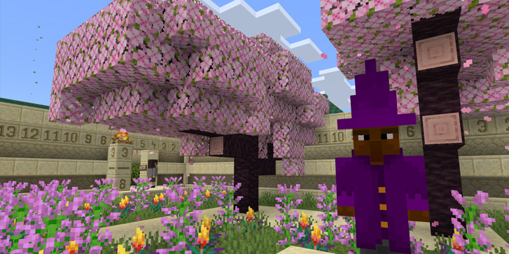 A minecraft character dressed as a wizard, infront of some trees