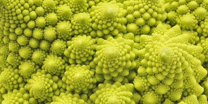 A recursive image of a green pattern