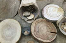 A collection of circular objects