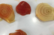 A photo of some sliced beetroot, revealing concentric circles.