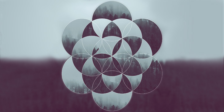 A blurred forest with a venn illustration in-front