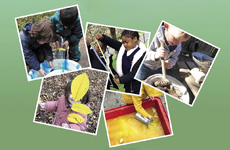 Five polaroid style photos of children engaging in educational acitivties