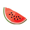 Watermelon icon